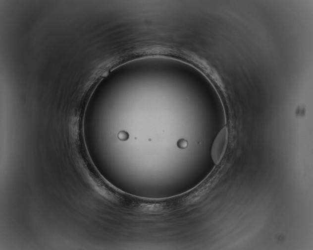 X0000101960057200807181050