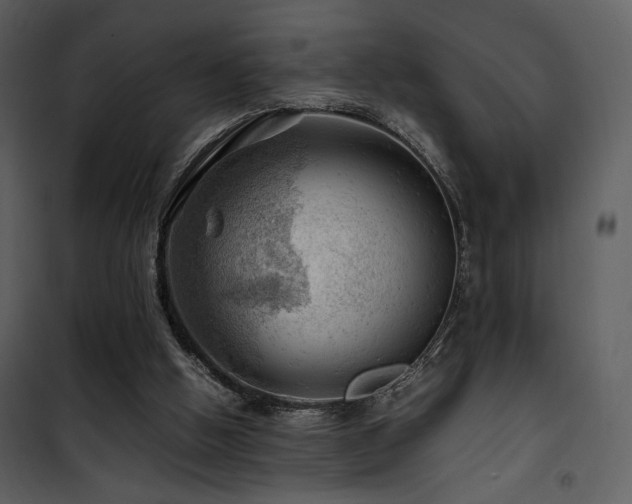 X0000101960058200807181050