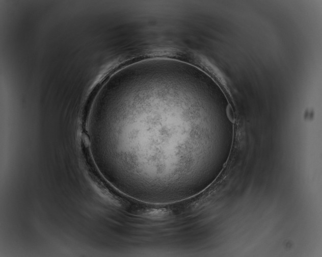 X0000101960059200807181050