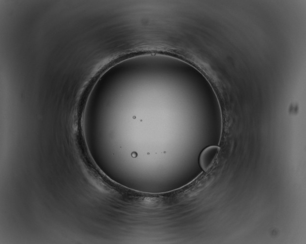 X0000101960060200807181050