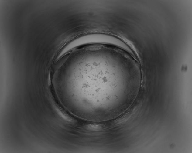 X0000101960061200807181050