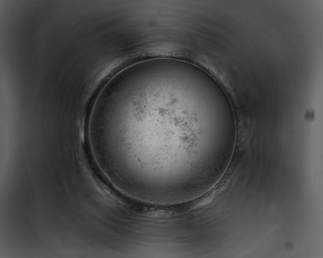 X0000101960062200807181050