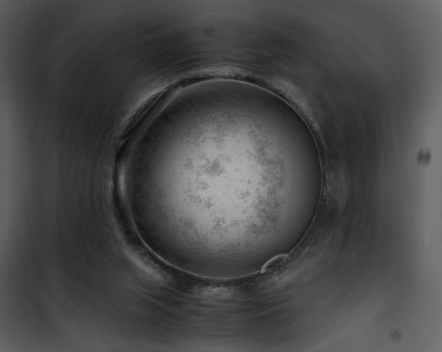 X0000101960063200807181050