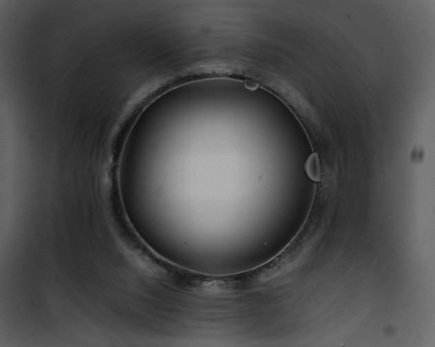 X0000101960064200807181050