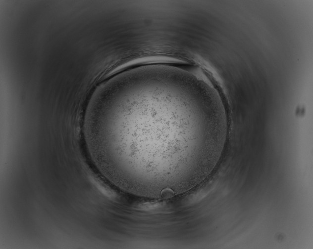 X0000101960065200807181050