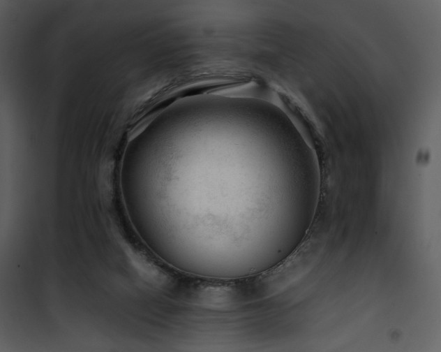 X0000101960066200807181050