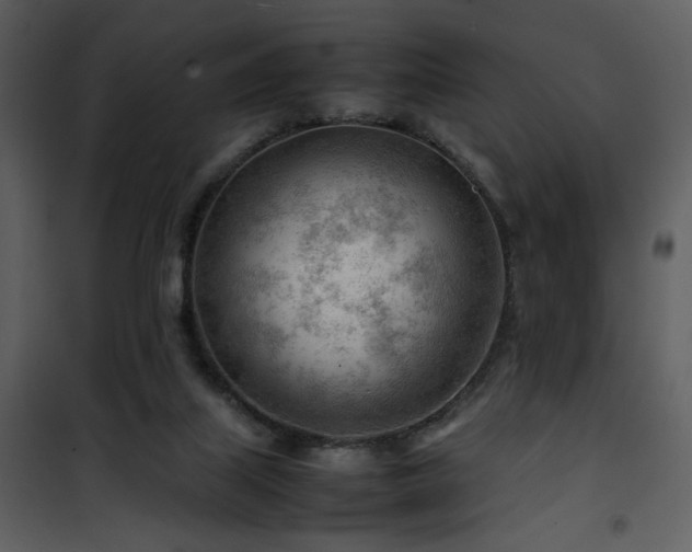 X0000101960067200807181050