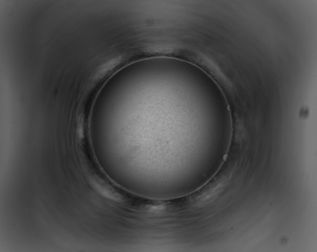 X0000101960068200807181050