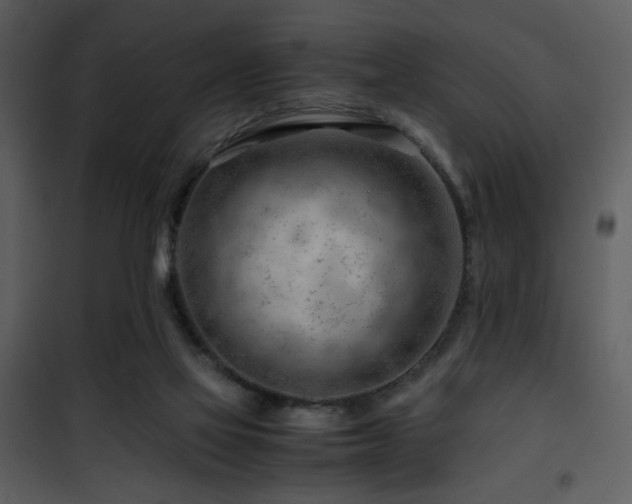 X0000101960069200807181050