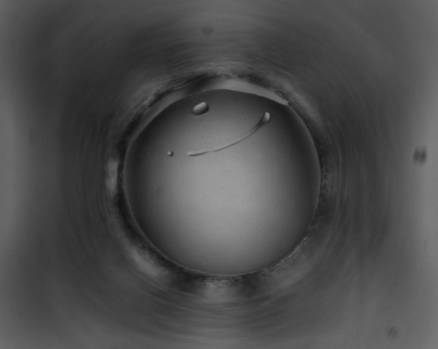 X0000101960070200807181050