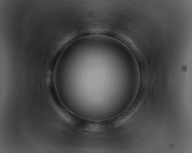 X0000101960071200807181050