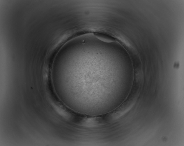 X0000101960072200807181050