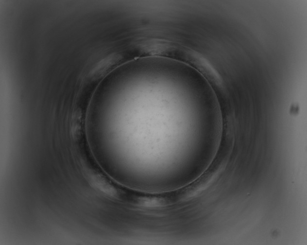 X0000101960073200807181050