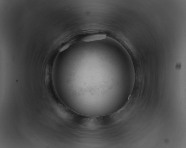 X0000101960074200807181050