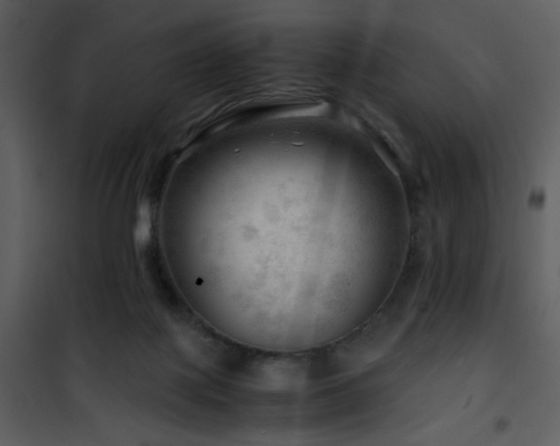 X0000101960075200807181051