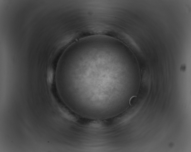 X0000101960076200807181051