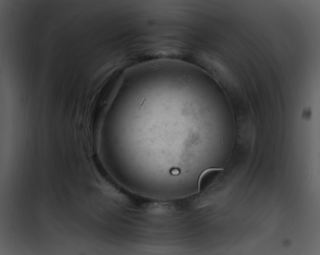 X0000101960077200807181051