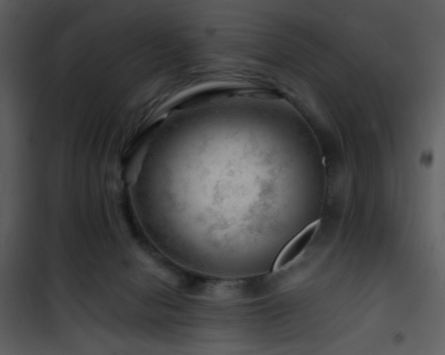 X0000101960078200807181051