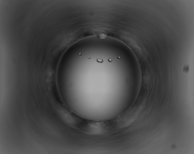 X0000101960079200807181051