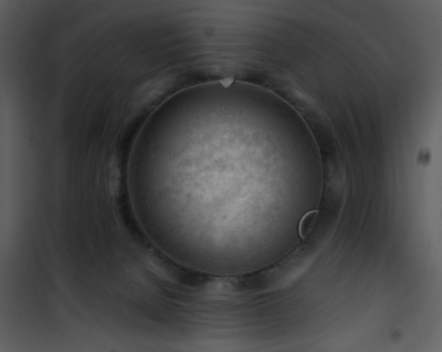 X0000101960080200807181051