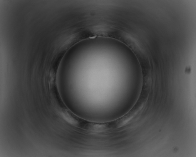 X0000101960081200807181051