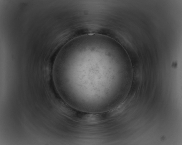 X0000101960082200807181051