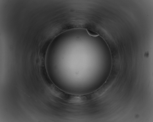 X0000101960083200807181051