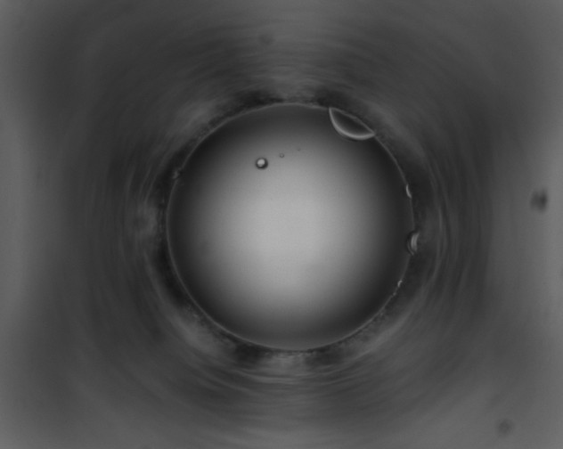 X0000101960084200807181051