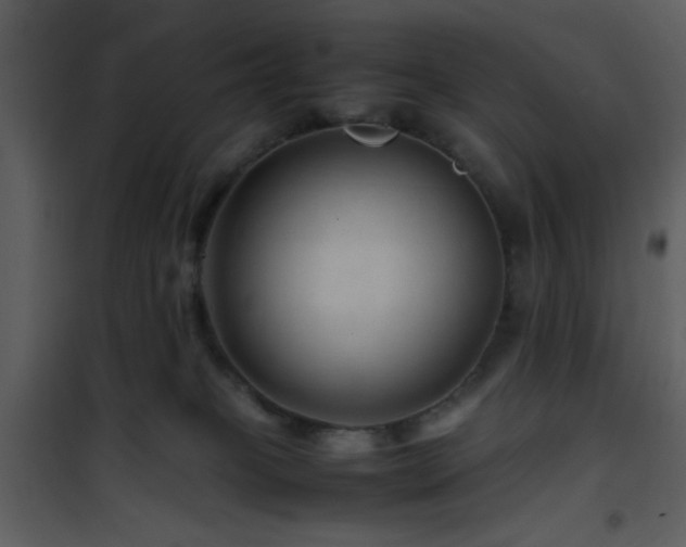 X0000101960085200807181051