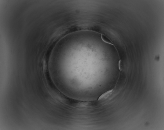 X0000101960086200807181051