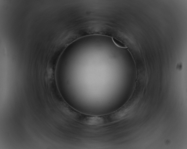 X0000101960087200807181051