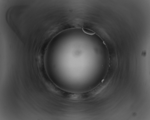 X0000101960088200807181051