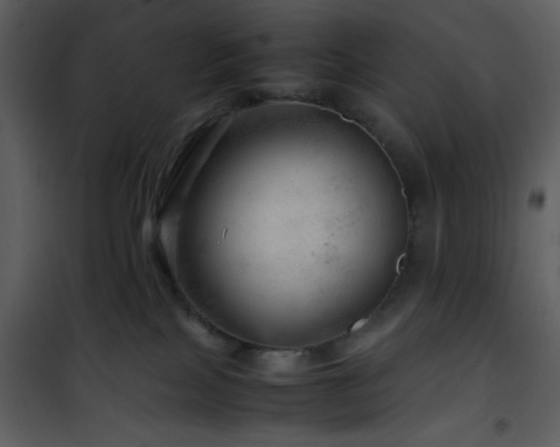 X0000101960089200807181051