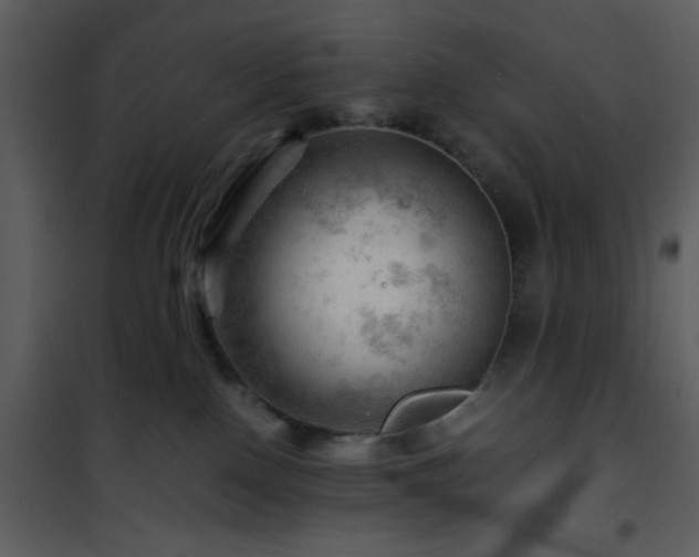 X0000101960090200807181051