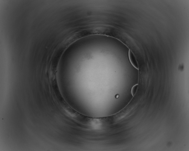 X0000101960091200807181051