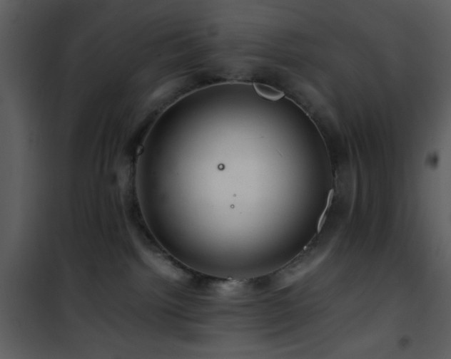 X0000101960092200807181051