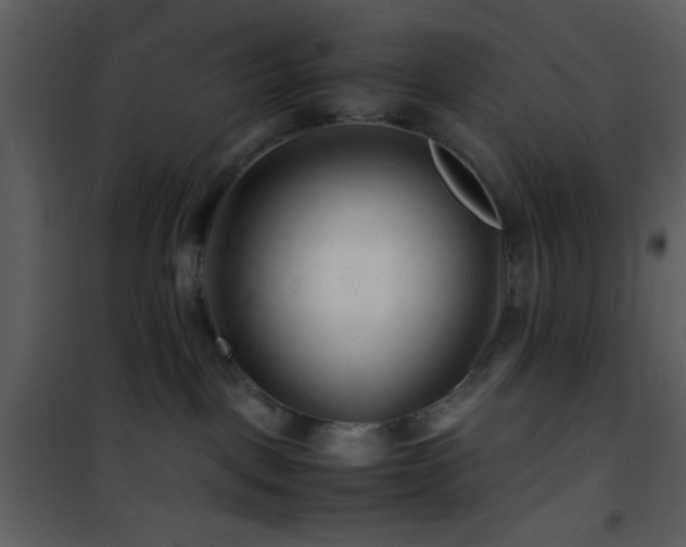 X0000101960093200807181051