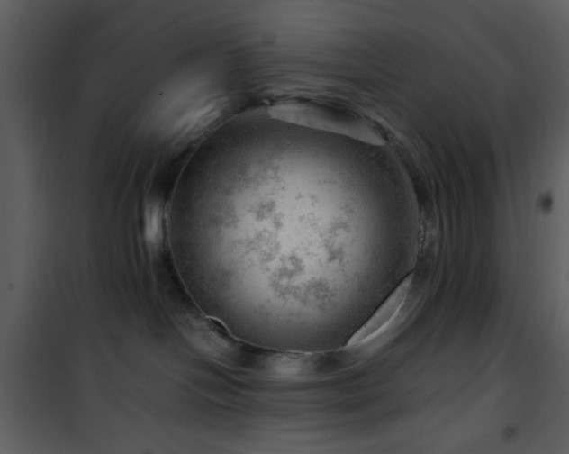 X0000101960094200807181051