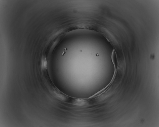 X0000101960095200807181051