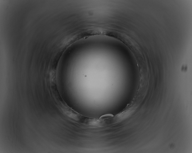 X0000101960096200807181051