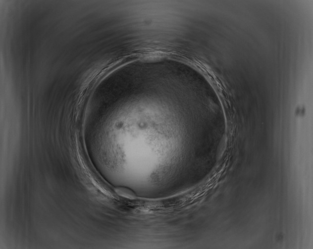 X0000101960097200807181050