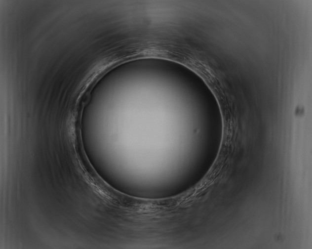 X0000101960098200807181050