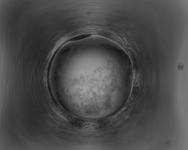 X0000101960099200807181050