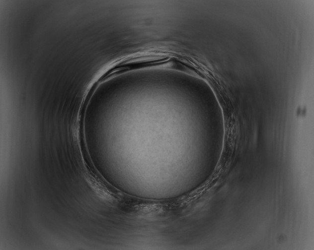 X0000101960100200807181050