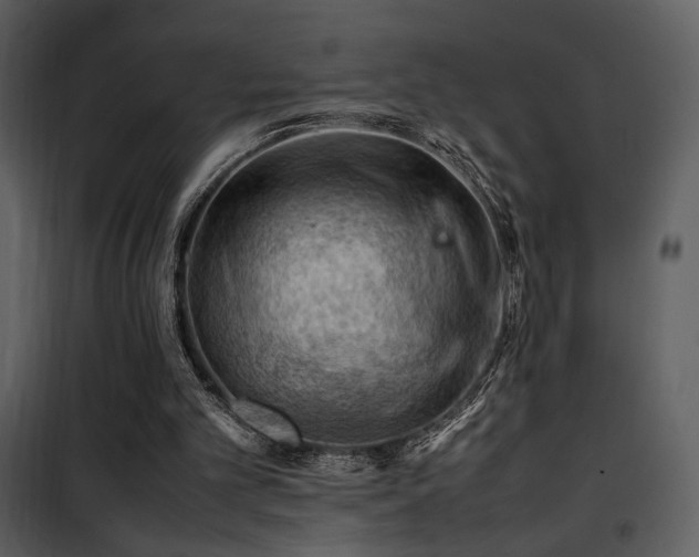 X0000101960101200807181050