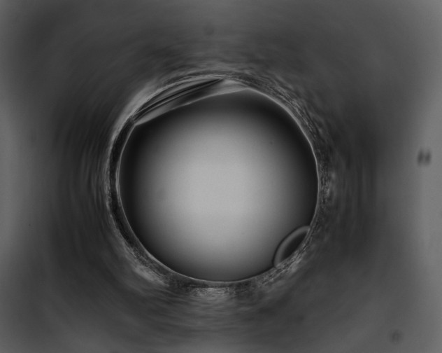 X0000101960102200807181050