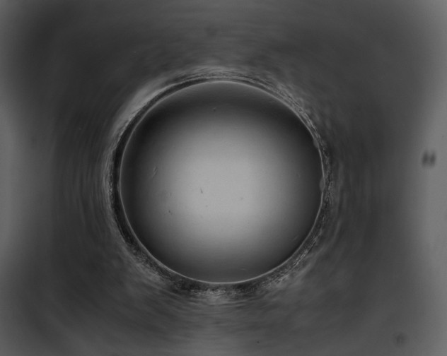 X0000101960103200807181050