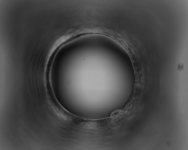 X0000101960104200807181050