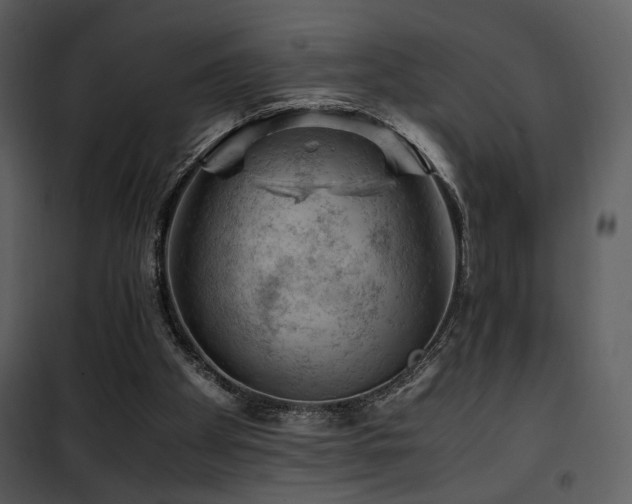 X0000101960105200807181050