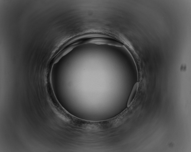 X0000101960106200807181050